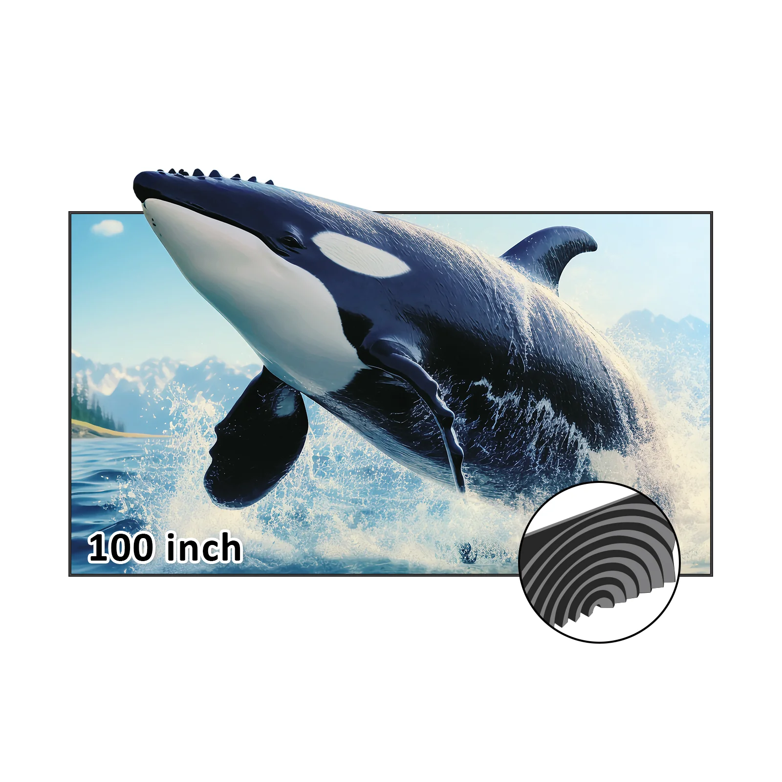 Projector Screens